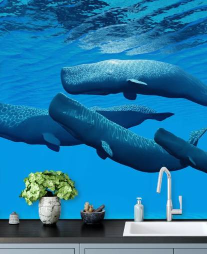 Sperm Whale Baggrund