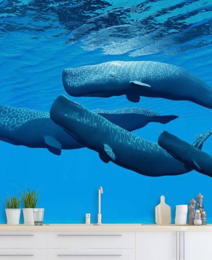 Sperm Whale Bakgrunn