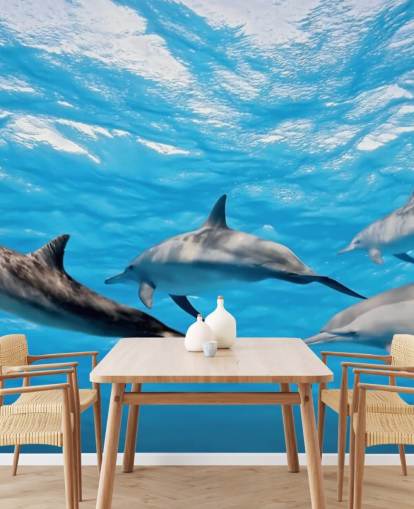 Papel de Parede Dolphins in Ocean Papel de Parede Dolphins in Ocean