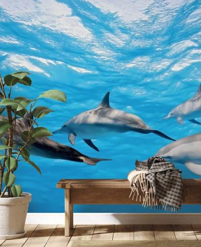 Delfiner i Ocean Baggrund