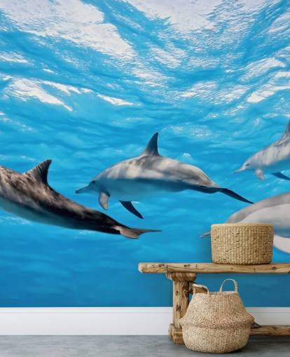Dolphins in Ocean Wallpaper