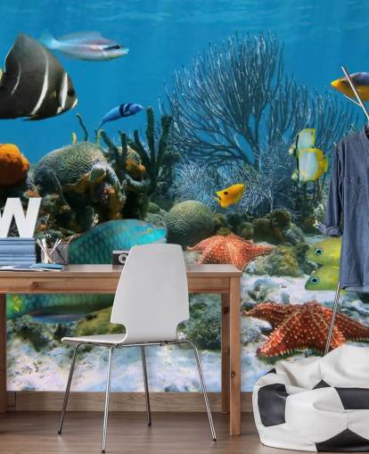 Fish and Coral Reef Wallpaper