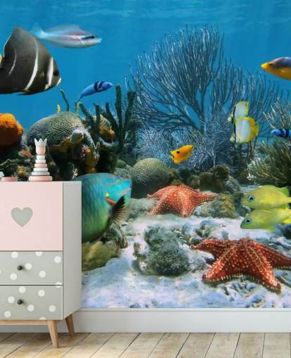 Papel de Parede Peixe e Coral Reef Papel de Parede Peixe e Coral Reef