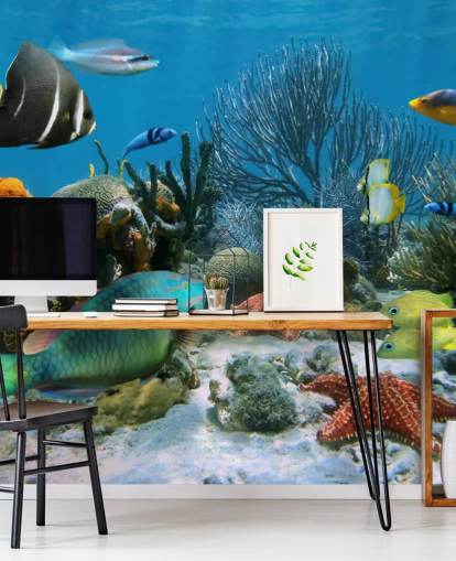 Fondo de pantalla de peces y arrecifes