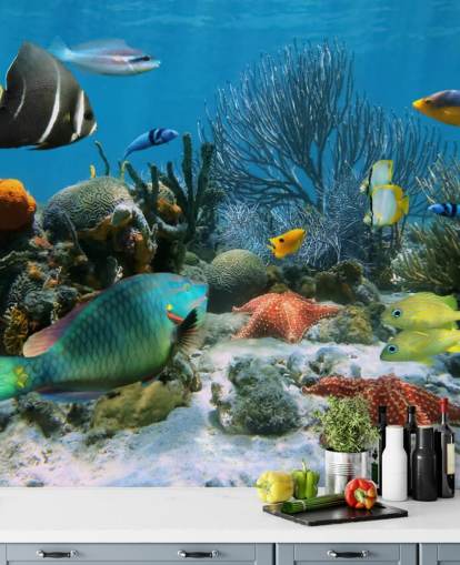 Papier Peint Poissons et Coraux