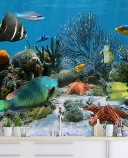 Fondo de pantalla de peces y arrecifes Fondo de pantalla de peces y arrecifes