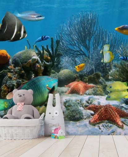 Fish and Coral Reef Wallpaper