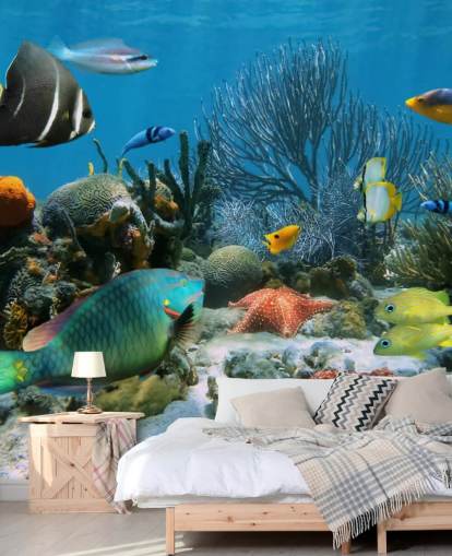Fish and Coral Reef Wallpaper
