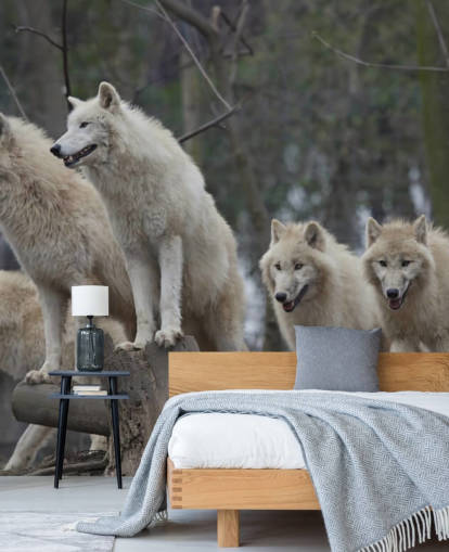 Mural de Parede White Wolf Pack