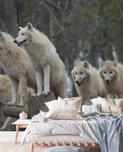 White Wolf Pack Wall Mural White Wolf Pack Wall Mural