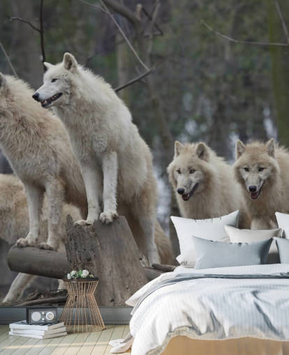 Mural de pared Lobo blanco