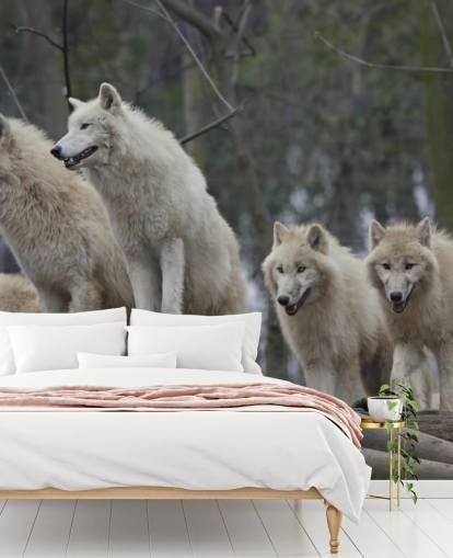 Weißes Wolfs-Pack Wandgemälde