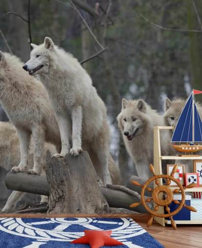 White Wolf Pack Wall Mural