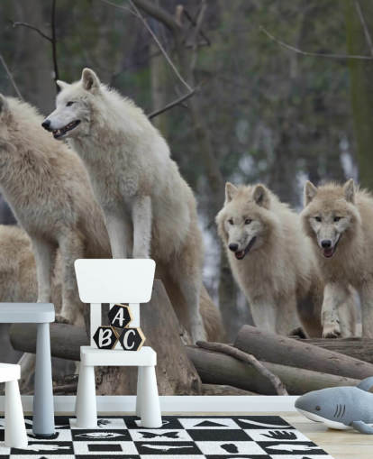 Mural de pared Lobo blanco