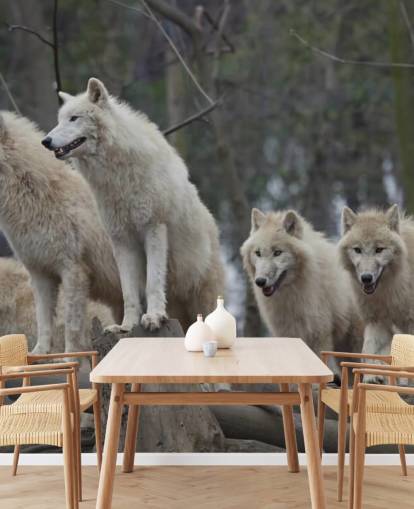 Weißes Wolfs-Pack Wandgemälde Weißes Wolfs-Pack Wandgemälde