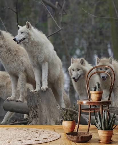 Mural de pared Lobo blanco Mural de pared Lobo blanco