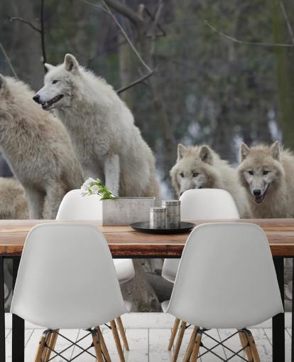 White Wolf Pack Wall Mural White Wolf Pack Wall Mural