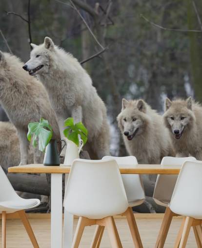 White Wolf Pack Muurschildering White Wolf Pack Muurschildering