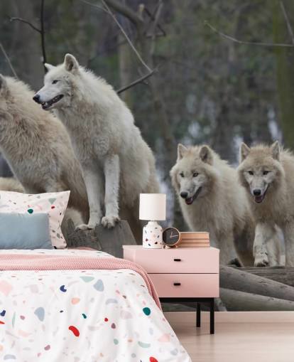 White Wolf Pack Wall Mural