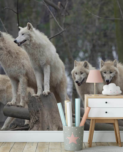 Hvit Wolf Pack Veggmaleri Hvit Wolf Pack Veggmaleri