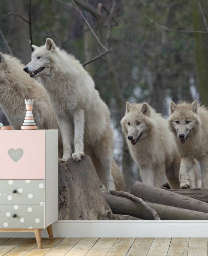 White Wolf Pack Muurschildering