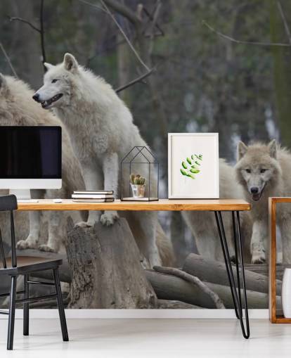 White Wolf Pack Wall Mural White Wolf Pack Wall Mural