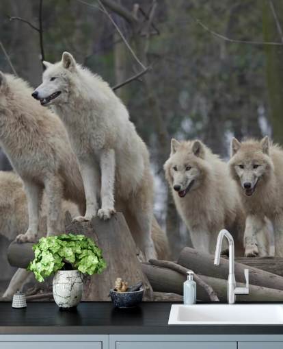 Vit Wolf Pack Väggmålning