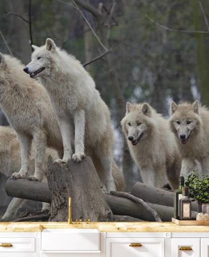 White Wolf Pack Wall Mural