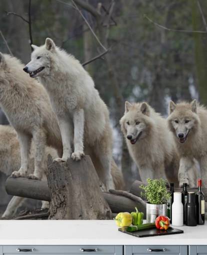 Weißes Wolfs-Pack Wandgemälde