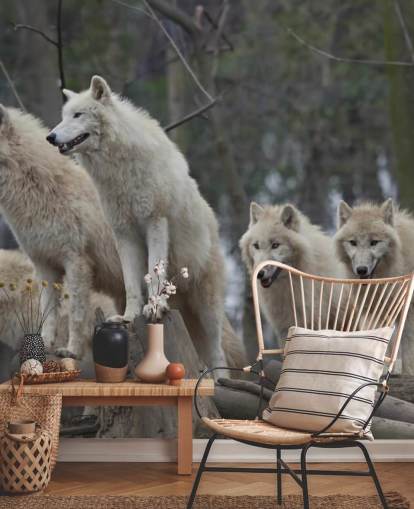 White Wolf Pack Wall Mural