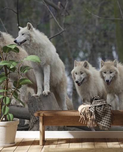 Mural de pared Lobo blanco
