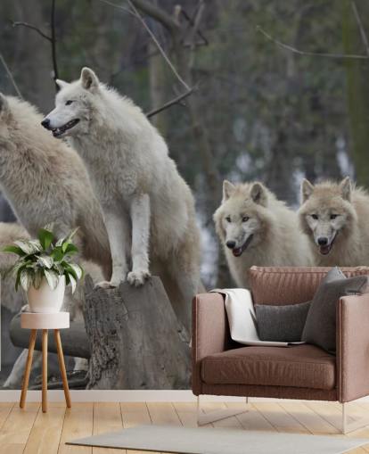 Mural de pared Lobo blanco