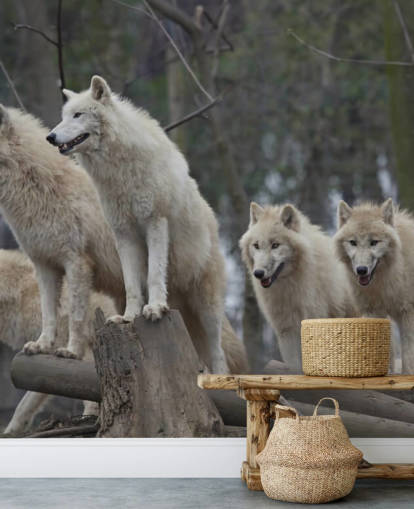 Mural de pared Lobo blanco
