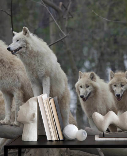 Mural de pared Lobo blanco