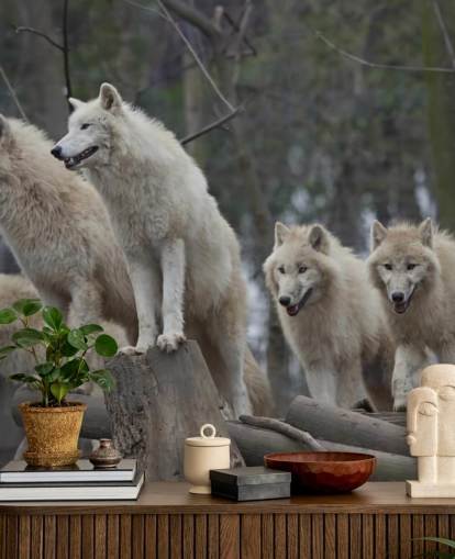 White Wolf Pack Wall Mural