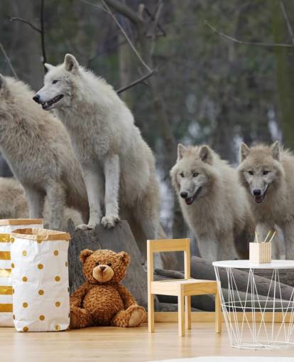 Weißes Wolfs-Pack Wandgemälde