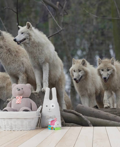 Vit Wolf Pack Väggmålning Vit Wolf Pack Väggmålning