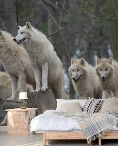 White Wolf Pack Wall Mural