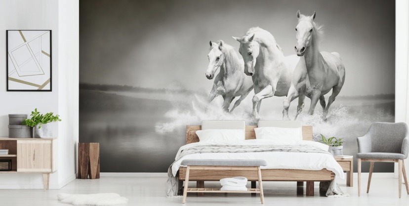 papel pintado de caballos personalizable en blanco y negro llamado Horses Black & White para negocios, salas de estar y cocinas