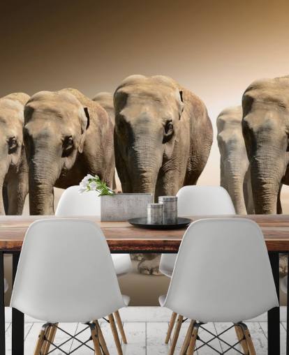 mural grupo de elefantes
