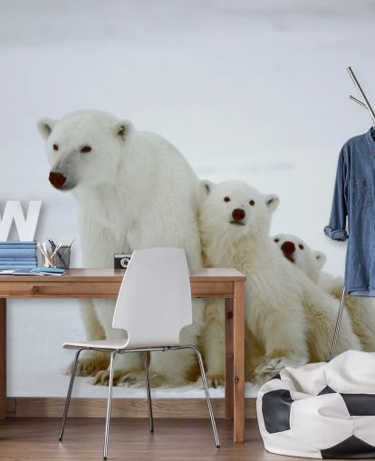 Isbjørn med Cubs Bakgrunn Isbjørn med Cubs Bakgrunn