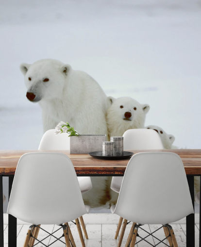 Papel pintado Oso polar con cachorros