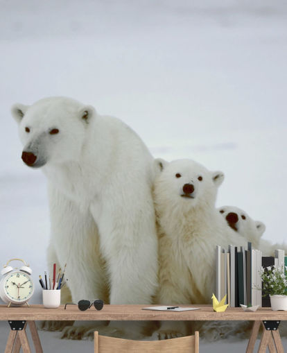 Papel pintado Oso polar con cachorros