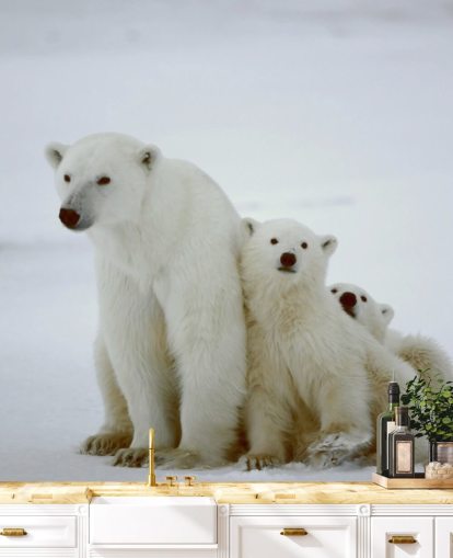 Polar Bear with Cubs Wallpaper