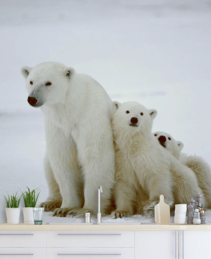Polar Bear with Cubs Wallpaper Polar Bear with Cubs Wallpaper
