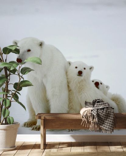 Polar Bear with Cubs Wallpaper Polar Bear with Cubs Wallpaper