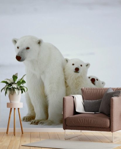 Papel pintado Oso polar con cachorros Papel pintado Oso polar con cachorros