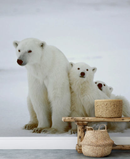 Papel pintado Oso polar con cachorros