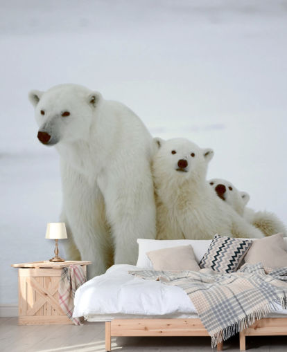 Papier Peint Ours Polaire avec oursons