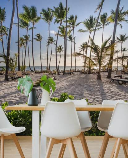 Playa del Caribe al amanecer Playa del Caribe al amanecer